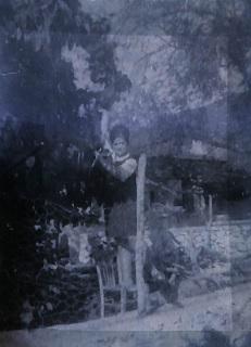 Ασπρόμαυρη φωτογραφία μίας γυναίκας, της Βασιλικής, μαζεύοντας κυδώνια φορώντας μία απλή καθημερινή φορεσιά, και έχοντας τα μαλλιά της κότσο.