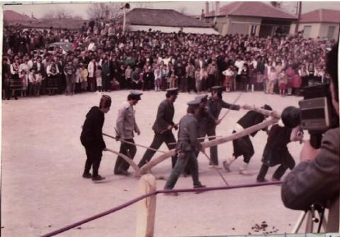 Από την αναβίωση του εθίμου του Μπέη 1984. Ο Μπέης οργανώνει . Οι κουρουτζίδις κι ο κατσιβέλος  με την κατσιβέλο στο ζυγό. 